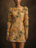 Women 3D Floral Embroidered Long Sleeve Mesh Mini Dress