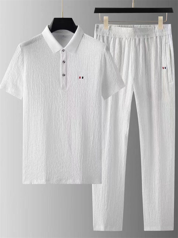 Men's 2Pcs Cool Texture Polo Collar Short Sleeve Solid Color Outfits