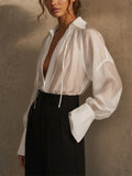 Women's Sheer V Neck Pleated Lantern Sleeve Blouse
