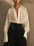 Women's Sheer V Neck Pleated Lantern Sleeve Blouse