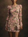 Women 3D Floral Embroidered Long Sleeve Mesh Mini Dress